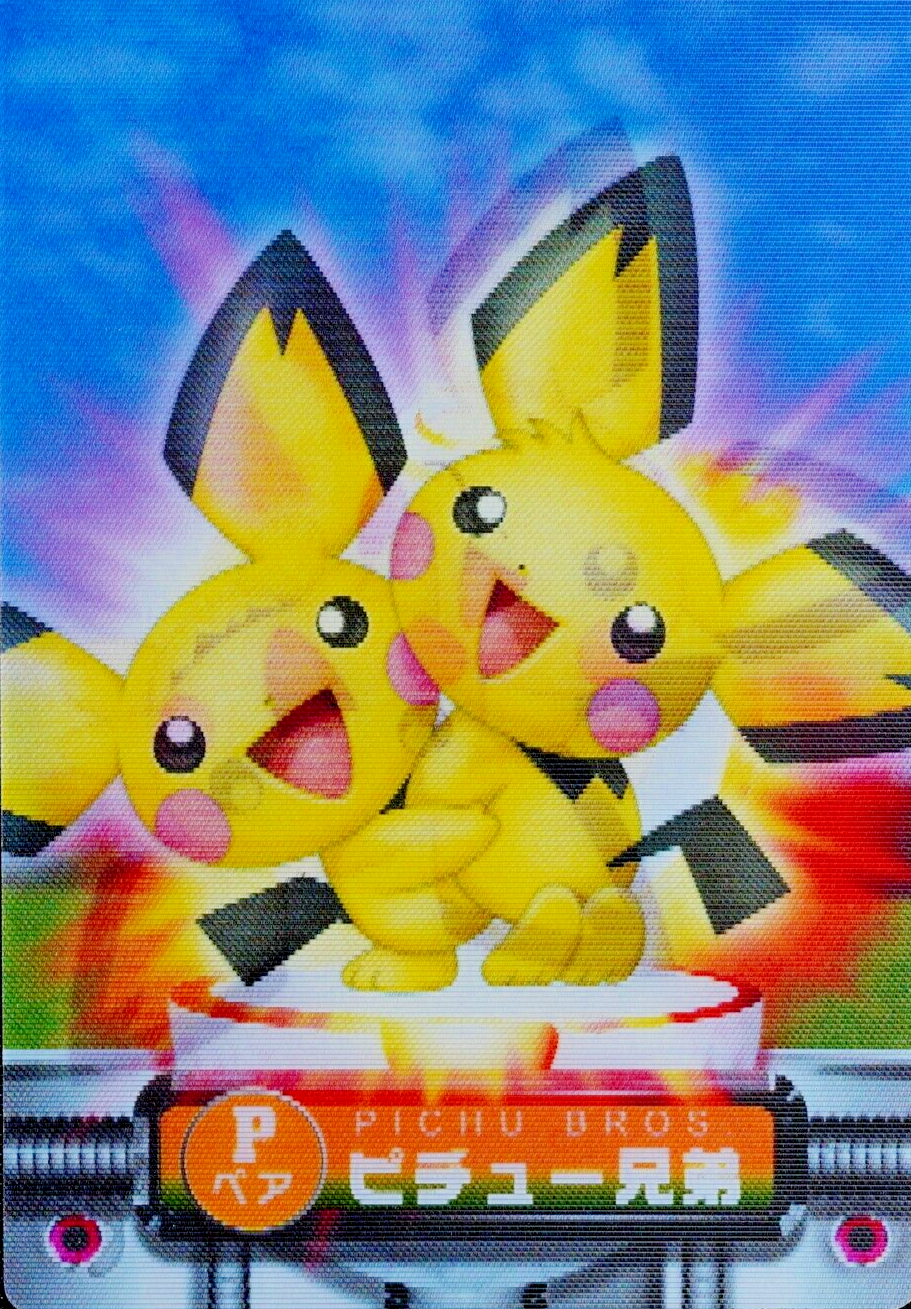 Pokemon Zukan Card Pichu Bros Nintendo Advance Generation Japanese F4234
