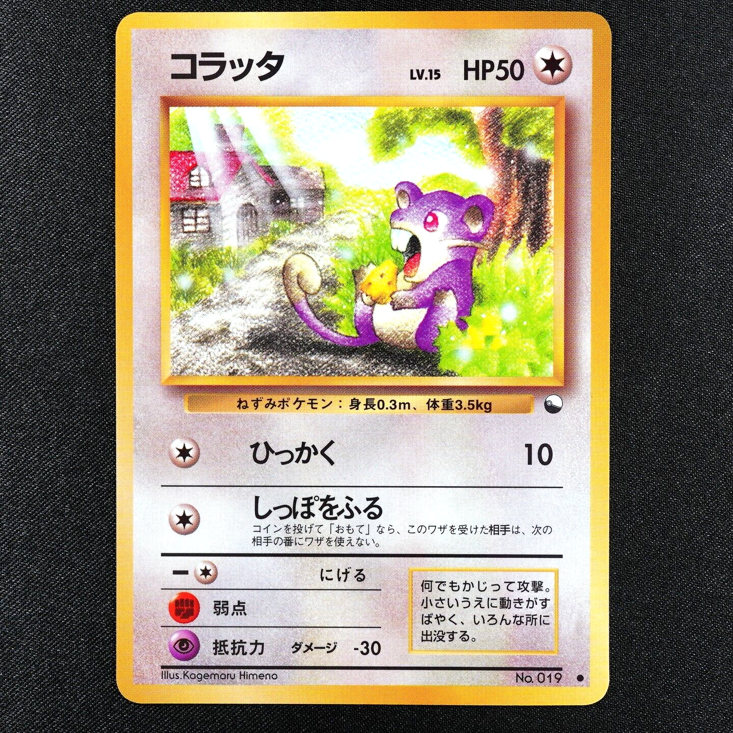 Pokemon Card Rattata 019 Nintendo 1996 Japanese F3269
