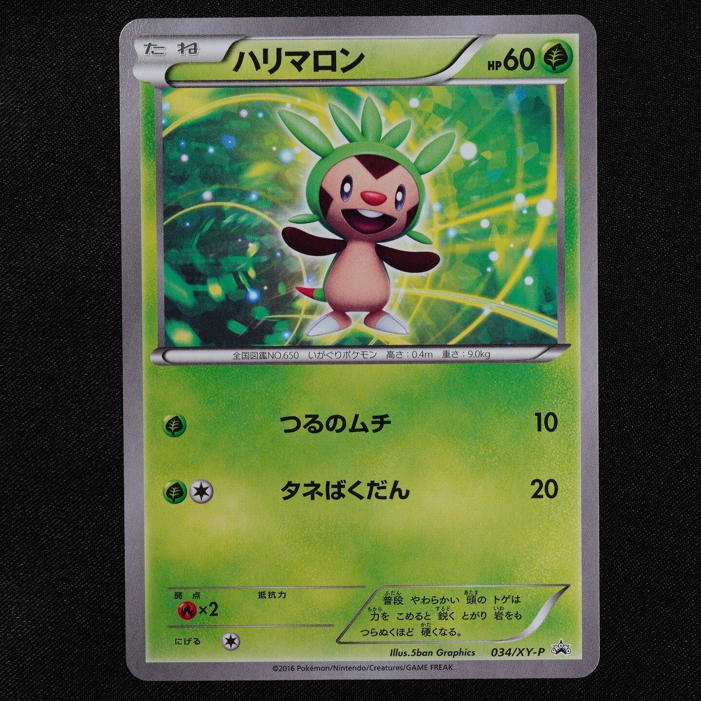 Pokemon Card Chespin 034/XY-P Nintendo 2016 HP60 Japanese F2117