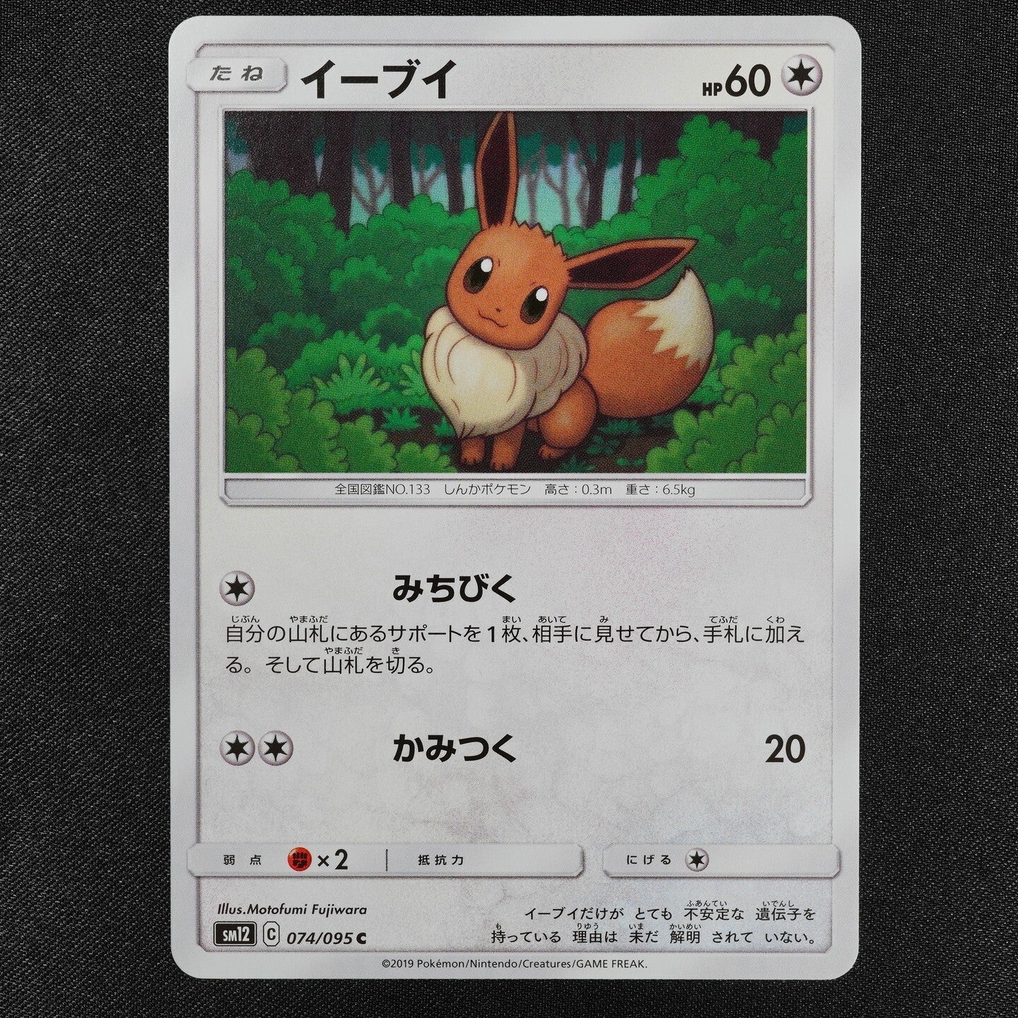 Pokemon Card Eevee 074/095 C Nintendo 2019 HP60 Japanese F2121