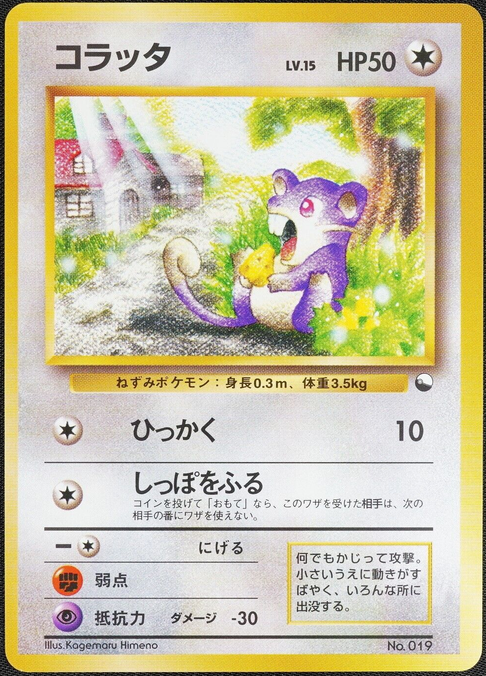 Pokemon Card Rattata 019 Nintendo Glossy Japanese 1996 No Mark F1068