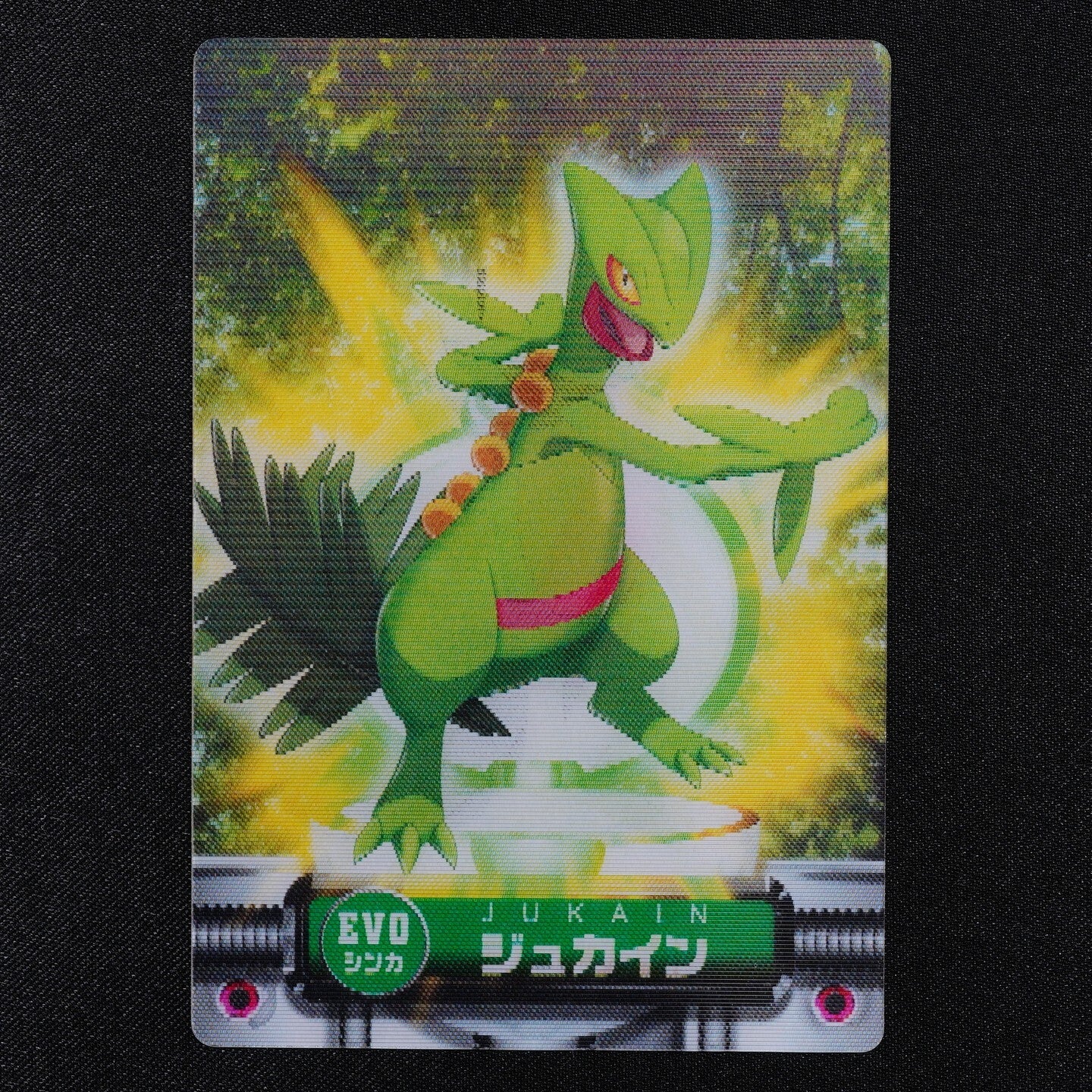 Pokemon Zukan Card Treecko Grovyle Sceptile EVO Advance Generation 3D F3023