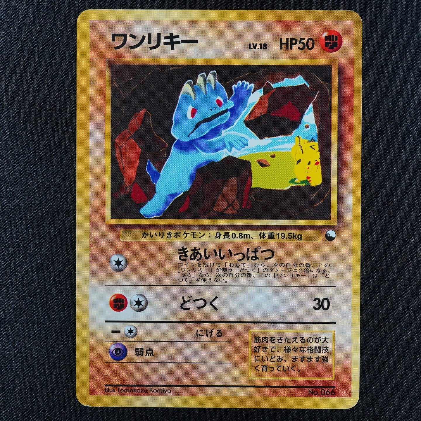 Pokemon Card Machop 066 No Mark Nintendo 1996 Japanese F3251