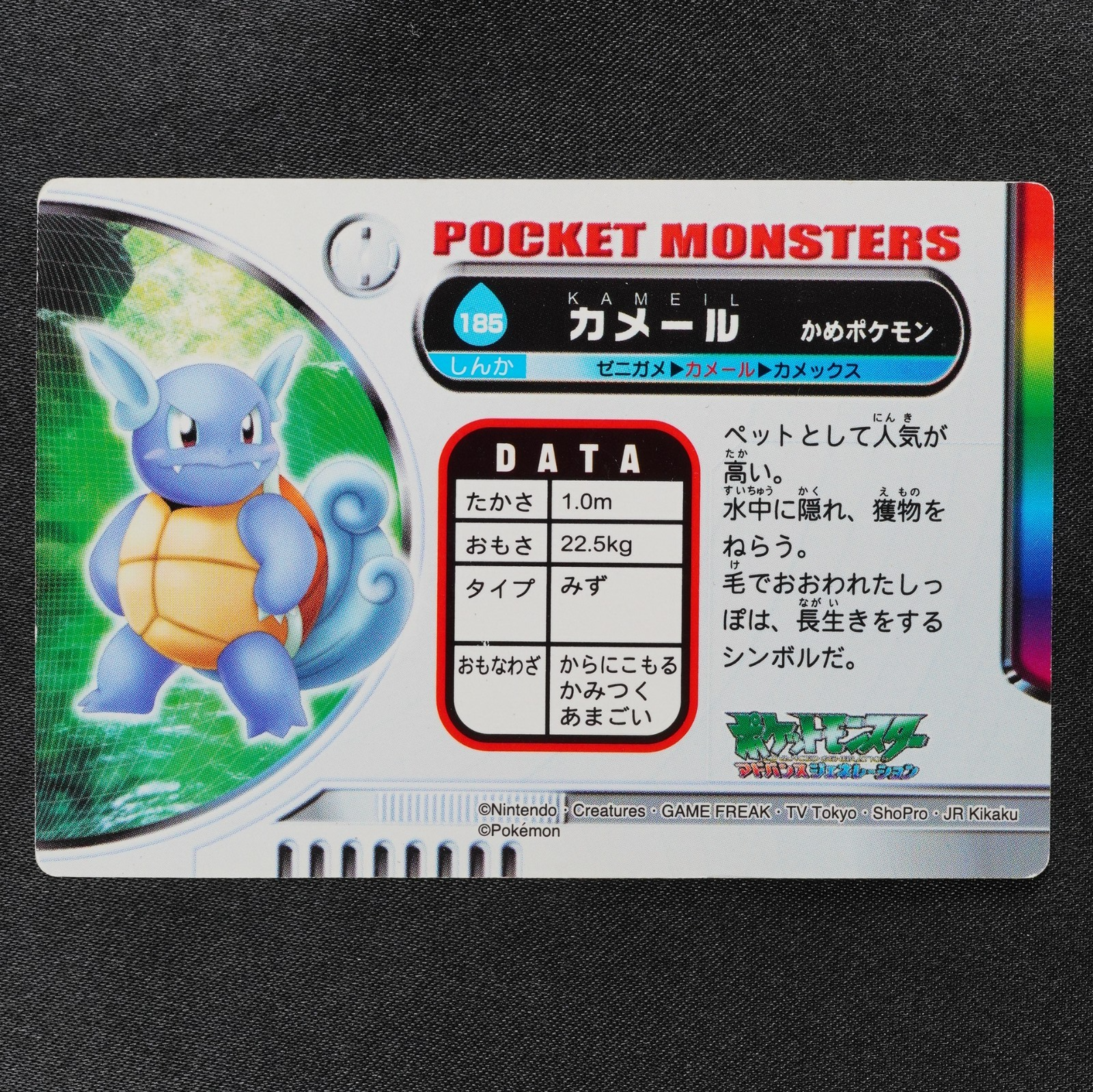 Pokemon Zukan Card Wartortle 185 Nintendo Advance Generation Japanese P1454
