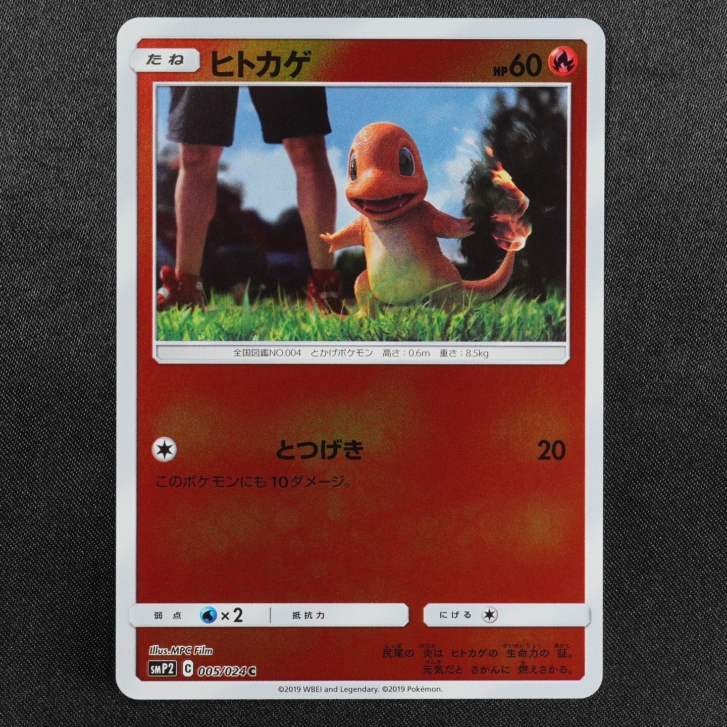 Pokemon Card Charmander SMP2 005/024 C Nintendo 2019 HP60 Japanese F7455
